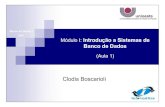 MóduloI: Introdução a Sistemas de Banco de Dadosclodis/BDI/BDI_2007_Modulo1_1.pdf · DML em comandos de baixo nível de sistemas de arquivos. SGBD -Gerenciador de Memória ...
