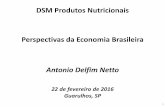 DSM Produtos Nutricionais Perspectivas da Economia …tortuga.com.br/isvit2016/doc/22.02/22.02 Perspectivas da Economia... · Antonio Delfim Netto 22 de fevereiro de 2016 Guarulhos,