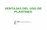 Ventajas del uso de plantines en Sandía [Modo de ... del uso de plantines (.).pdf · Evitar que se presenten problemas de chupaderas fungosas. Esto dado a que las bandejas están