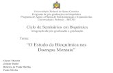 Universidade Federal de Santa Catarina Programa de …ppgbqa.ufsc.br/files/2011/06/Seminário-Reuni-II.pdf · –Atípicos •Bupropiona Depressão . Roberta de Paula Martins Estresse