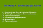 Unidade I - Embriologia Geralporteiras.s.unipampa.edu.br/biotech/files/2011/04/AulaII-Embrio... · poliéstricos 17-21 29 horas estacionais ovinos 40-45 h após múltiplos início