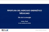 APERTURA DEL MERCADO ENERGÉTICO MEXICANO · *Promedio de la proyección de: EIA Annual Energy Outlook; OPEC World Oil Outlook and P&G Global Petroleum Market Outlook ... ni subsistirán