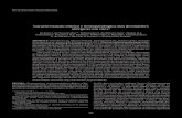 Caracterização clínica e histopatológica das dermatites ... · Cx. Postal 61, Patos, PB 58708-110, Brazil. E-mail: veterinariojsv@yahoo.com.br This paper describes the clinical