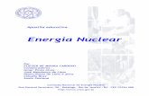 ENERGIA - if.ufrgs.br · Energia Nuclear Apostila educativa Por ELIEZER DE MOURA CARDOSO Colaboradores: Ismar Pinto Alves JosØ Mendonça de Lima Pedro Paulo de Lima e Silva