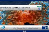 Ms. Romeu Moreira dos Santos - fcav.unesp.br · • Estudos citam cães acometidos por neoplasia tinham maior número de células Treg (CD4+, CD25+) e poucas céls. CD8 no sangue,