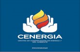 CENTRO DE CONSERVACION DE ENERGIA Y DEL … · - Determinación de la potencia efectiva en unidades de generación hidroeléctrica - Estudio de pérdidas de carga en las centrales