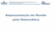 Representação do Mundo pela Matemáticamdmat.mat.ufrgs.br/PEAD/apresentacao/pead_eixo4_matematica.pdf · Princípios A interdisciplina Representação do Mundo pela Matemática