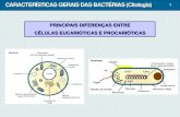 CARACTERÍSTICAS GERAIS DAS BACTÉRIAS (Citologia… · caracterÍsticas gerais das bactÉrias (citologia) principais diferenÇas entre cÉlulas eucariÓticas e procariÓticas 1