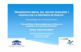 “DIAGNÓSTICO INICIAL DEL SECTOR …€œDIAGNÓSTICO INICIAL DEL SECTOR PESQUERO Y ACUÍCOLA DE LA PROVINCIA DE HUELVA ” Plan Estratégico de la Provincia de Huelva “Nuevos