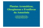 Plantas Aromáticas, Oleaginosas e Frutíferas da … · comercial de plantas aromáticas produtoras de óleos essenciais ou aromas com base em trabalho agronômico bem dirigido.