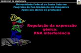 [PPT]Slide 1 - Programa de Pós-Graduação em Bioquímicappgbqa.ufsc.br/files/2011/05/Aula-RNAi.pptx · Web viewUniversidade Federal de Santa Catarina Programa de Pós-Graduação