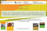 NAMA DEL PROGRAMA PARA LA PROMOCIÓN DE …ledslac.org/wp-content/uploads/2016/09/nama_probiomasa_leds_lac... · Estrategias Bioenergéticas . ... Relevancia del sector respecto a