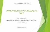 MANEJO BIOLÓGICO DE PRAGAS DE SOLO - …gebio.com.br/site/wp-content/uploads/2016/08/Dia1_pragassolo... · manejo biolÓgico de pragas de solo enrico de beni arrigoni enrico arrigoni