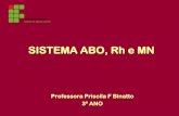 SISTEMA ABO, Rh e MN - bioifnmg.files.wordpress.com · Determinação Genética Sistema ABO ... é casado com uma mulher de grupo sanguíneo A Rh+. ... sistemas ABO, Rh e MN