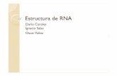 prediccion estructura RNA - inf.utfsm.clamoreira/bio10/RNA.pdf · RNA Está presente tanto en ... las siguientes 4 posibilidades: Algoritmo Recursivo Objetivo ... Tarea ¿Que significa