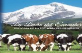 La Leche del Ecuador LECHE DEL ECUADOR.pdf · REYBANPAC REY BANANO DEL PACIFICO C.A. ... sentativas del sector lechero ecuatoriano, ... a partir de la historia del amamantamiento