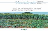 Teores de Hemiceluloses, Celulose e Lignina em …ainfo.cnptia.embrapa.br/digital/bitstream/item/75878/1/bolpd-290.pdf · sistema plantio direto porque protegem o solo da erosão,