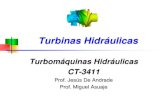 Turbomáquinas Hidráulicas CT-3411 · Turbinas Hidráulicas n P M m P M M P H H D D k1 1 1 Autor k m n Moody I 1 0,25 0 Moody I 1 0,25 0,01 Medici 1 0,25 0,10 Ackeret 0,50 0,50 0,50