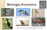 Biologia Evolutiva - Fabricio Breve · Princípios fundamentais do Lamarckismo O desenvolvimento da genética esclareceu os mecanismos de herança biológica Características adquiridas