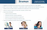 Dados Voz Vídeo - brumon.com.brbrumon.com.br/wp-content/uploads/2018/03/Brumon-Matriz-de... · Nossa expertise está nos projeto turnkey, com: ... Intercomunicador Detecção de