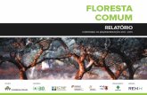 RESUMO - florestacomum.org³rio-Flores... · assem interesse e capacidade de implementar localmente projetos de (re)arborização. Nesse contexto, na campanha de (re)arborização