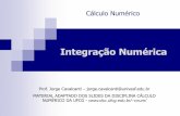 Integração Numérica - univasf.edu.brjorge.cavalcanti/8CN_integracao.pdf · 3 Idéia básica da integração numérica substituição da função f(x)por um polinômio que a aproxime