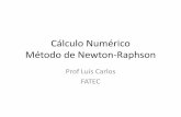 Cálculo Numérico Método de Newton-Raphson · Como escolher o x 0 (chute inicial) que garanta a convergência? Localize o intervalo que contem o zero da função. Note que para