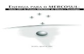 Edição 2004 do Prêmio MERCOSUL de Ciência e …unesdoc.unesco.org/images/0014/001403/140365por.pdf · Amazônia, semi-árido nordestino e do cerrado . Foram também estu- ...
