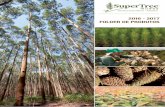 2016 - 2017 FOLDER DE PRODUTOS - SuperTree …supertreeseedlings.com.br/wp-content/uploads/2016/10/ArborGen... · da International Paper, ... Seu manejo exige uma atenção especial