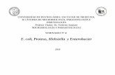 E. coli, Proteus, Klebsiella y Enterobacter Nº 4.pdf · proteus spp.: caracterÍsticas biolÓgicas • las comunes a la familia • no capsulados • no fermentan la lactosa •