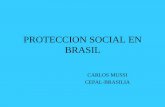 PROTECCION SOCIAL EN BRASIL - cepal.org · BRASIL CARLOS MUSSI CEPAL-BRASILIA • Evolución. – El Estado estableció instituciones de protección a los trabajadores formales, en