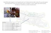 Identificando lugares con la gente del 1er Festival …cohemis.uprm.edu/prysig/pdfs/pres_rmorales13.pdfIdentificando lugares con la gente del 1er Festival de la Calle Loíza: El uso