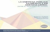 LA EMPRESA PÚBLICA EN MÉXICO Y EN AMÉRICA …computo.ceiich.unam.mx/webceiich/docs/libro/Empresa Publica-web.pdf · empresas privatizadas, por su papel en política industrial