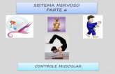 SISTEMA NERVOSO PARTE 6 - UEL Portal - …€¦ · O SISTEMA NERVOSO MOTOR SOMÁTICO Transdução: sinais neurais, como força contrátil, que se manifestam na forma de movimentos