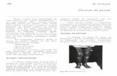 Úlceras de Perna - hansen.bvs.ilsl.brhansen.bvs.ilsl.br/textoc/livros/DUERKSEN, FRANK/pe/PDF/ulcera... · solução de continuidade da pele em pacientes da forma virchoviana, que