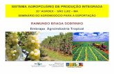 RAIMUNDO BRAGA SOBRINHO Embrapa …mapas.agricultura.gov.br/agroeventos/uploads/20081203_103552... · globalgap nÃo tendÊncia mundial sistemas de produÇÃo controlados qualidade,