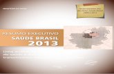 Resumo Executivo Saúde Brasil 2013: uma análise da ...bvsms.saude.gov.br/bvs/publicacoes/resumo_executivo_saude_brasil... · Em espanhol: Resumen Ejecutivo Salud Brasil 2013: un