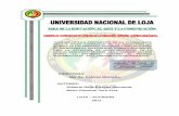 DIRECTORA: AUTORES: LOJA ECUADOR - …dspace.unl.edu.ec/jspui/bitstream/123456789/7008/1/Erreyes Gilberto... · ANEXO N º 1 ... PLAN CURRICULAR ANUAL PARA ... Construir una propuesta