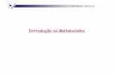 Introdução ao Metabolismo - Bizuandobizuando.com/material-apoio/bioq2/1-Metabolismo.pdf · As vias catabólicas geram quantidades consideráveis de co-fatores reduzidos. Alguns