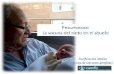 Pneumococo La vacuna del nieto en el abueloprojectes.camfic.cat/CAMFiC/Seccions/Formacio/Docs/Material_XI... · que le confiere su virulencia y evita su ... –Personas con alto riesgo