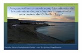 Patagonotothen cornucola como bioindicador de la ... · Patagonotothencornucola comoORGANISMO DE ENSAYO Especie autóctona y ubicua en los ecosistemas marinos de la Patagonia. Tolerantes