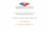 CUENCA DEL RIO PAICAVI - portal.mma.gob.clportal.mma.gob.cl/wp-content/uploads/2017/12/Paicavi.pdf · direcciÓn general de aguas diagnostico y clasificacion de los cursos y cuerpos