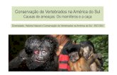 Conservação de Vertebrados na América do Sul - … • variação espacial – sistema fonte -sumidouro ... Contextualização dos tipos de caça e sua importância para as populações