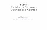 IA847 Projeto de Sistemas Distribuídos Abertos143.106.148.168:9080/Cursos/IA847/01-07/ia847.pdf · global (por exemplo, ... convêniência, etc. Exemplo: Windows, Linux, Java, MATLAB.