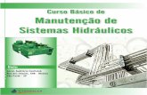 Curso Básico de Manutenção de Sistemas Hidráulicosnoria.com.br/pdf/sistemas-hidraulicos.pdf · cializado em tribologia pela EPUSP, possui certificações MLT II, MLA III, ...