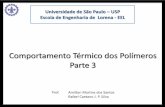 Universidade de São Paulo USP Escola de Engenharia …dequi.eel.usp.br/~amsantos/Analise termica_parte3_rev01.pdf · Universidade de São Paulo – USP Escola de Engenharia de Lorena