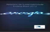 Relatório de Sustentabilidade Endesa Brasil 2012 · mado por Endesa S.A., Enersis S.A., Chilectra S.A. e a atual Ampla, vence leilão de privatização da Companhia Energética do