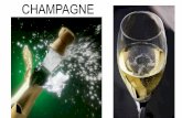 CHAMPAGNE - roneiandre.dominiotemporario.comroneiandre.dominiotemporario.com/doc/champagne.pdf · Roederer) e Belle Epoque (por Perrier- Jouët). São produzidos em pequenas quantidades