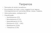 Terpenos - UFRJ/EQ tecbio_terpenos.pdf · Pinho do Canadá, eucalipto e lavanda. Coentro, pimenta, artemísia e cravo. Cedro, vetiver, patchuli, musgo de carvalho couro e tabaco.
