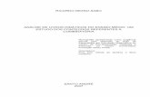 RICARDO DEZSO SABO ANÁLISE DE LIVROS cileda/Monografia_  · PDF fileDidactic - TAD (Chevallard, 1991), which involves identifying the tasks, the techniques and the theoretician-technological